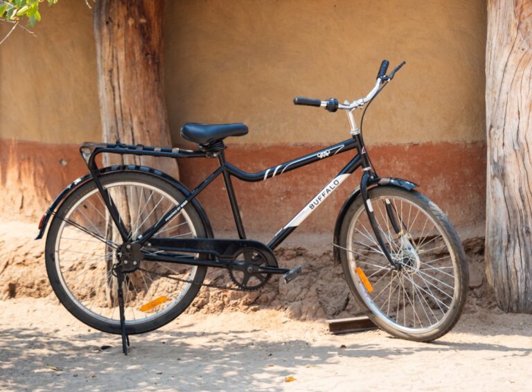 A Buffalo bicycle parked against a mud wall (photo: Buffalo Bicycles)